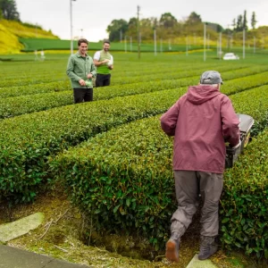 4-ezgif.com-jpg-to-webp-converter (1)